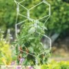 Gardener's Vertex Lifetime Pepper And Eggplant Cage 1 Gardener's Vertex Lifetime Pepper And Eggplant Cage -Plant Supports Shop 8599554 3000 tif