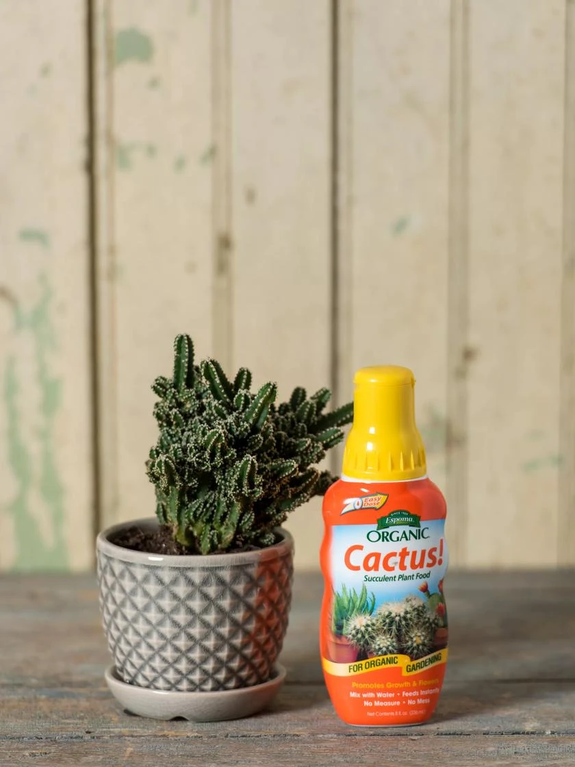 Espoma Cactus! Plant Food 3 Espoma Cactus! Plant Food