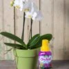 Espoma Orchid! Plant Food -Plant Supports Shop 8599783 18431 tif