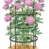 Titan Peony Supports, Large, Set Of 2 -Plant Supports Shop 8599857 0001 art tif