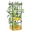Titan Pepper Eggplant Cages, Set Of 3 -Plant Supports Shop 8599859 0001 art tif