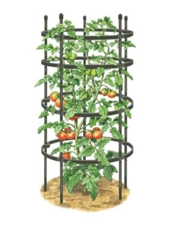 Titan Tomato Cages, Set Of 3 13 Titan Tomato Cages, Set Of 3 -Plant Supports Shop 8599861 0001 art tif