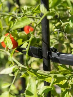 Titan Tomato Cages, Set Of 3 15 Titan Tomato Cages, Set Of 3 -Plant Supports Shop 8599861 0079 tif