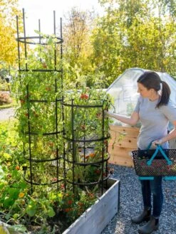 Titan Tomato Cages, Set Of 3 11 Titan Tomato Cages, Set Of 3 -Plant Supports Shop 8599861 0114 tif