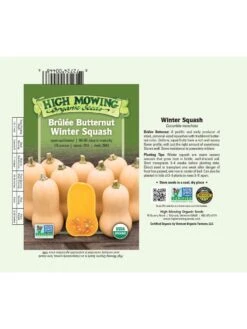 Brulee Butternut Squash Organic Seeds -Plant Supports Shop 8599867 03v