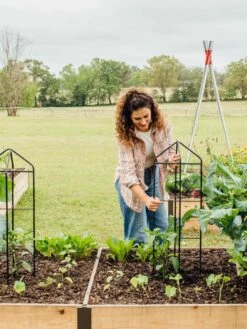 Zenith Folding Garden Supports, Set Of 2 -Plant Supports Shop 8600073 324 tif