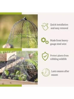 Chicken Wire Cloche With Extension 17 Chicken Wire Cloche With Extension -Plant Supports Shop 8600116 3