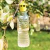 Bottle Insect Traps, Set Of 6 2 Bottle Insect Traps, Set Of 6 -Plant Supports Shop 8600119 0532 tif