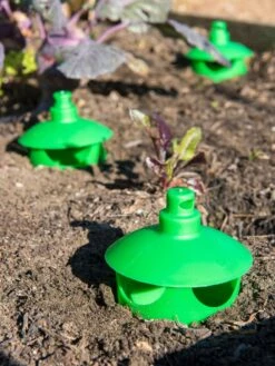 Slug And Snail Traps, Set Of 3 -Plant Supports Shop 8600120 1788