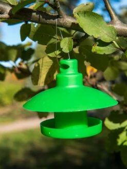 Slug And Snail Traps, Set Of 3 -Plant Supports Shop 8600120 1792