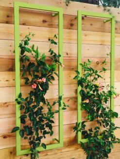 Ina Modern Wall Trellis Sr. -Plant Supports Shop 8600510 01V tif
