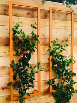 Ina Modern Wall Trellis Sr. -Plant Supports Shop 8600510 04V tif