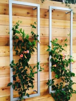 Ina Modern Wall Trellis Sr. -Plant Supports Shop 8600510 06V tif