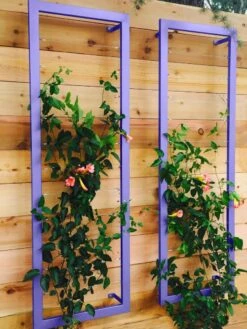 Ina Modern Wall Trellis Sr. -Plant Supports Shop 8600510 07V tif