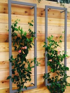 Ina Modern Wall Trellis Sr. -Plant Supports Shop 8600510 08V jpg