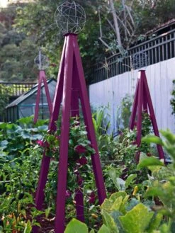 Akoris Garden Tuteur Jr. 15 Akoris Garden Tuteur Jr. -Plant Supports Shop 8600517 01V akoris garden tuteur tif 1