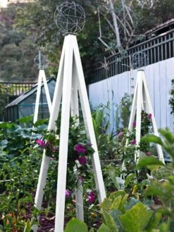 Akoris Garden Tuteur Jr. 17 Akoris Garden Tuteur Jr. -Plant Supports Shop 8600517 03V tif 1