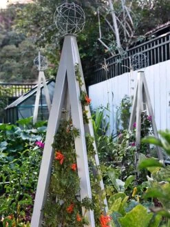 Akoris Garden Tuteur Jr. 14 Akoris Garden Tuteur Jr. -Plant Supports Shop 8600517 07V tif