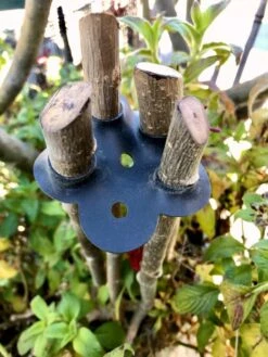 Garden Cane Connects, Set Of 6 -Plant Supports Shop 8609019 01V tif