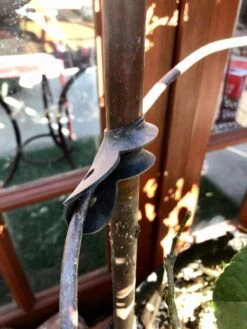 Garden Cane Connects, Set Of 6 -Plant Supports Shop 8609019 03V tif