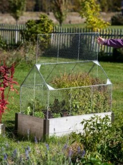 Chicken Wire Crop Coop -Plant Supports Shop 8609080 4024