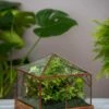 Art Decco Copper And Glass Terrariums -Plant Supports Shop 8609210 0318 tif