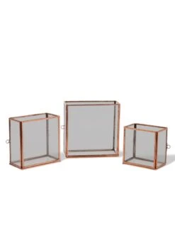 Copper And Glass Terrariums, Set Of 3 -Plant Supports Shop 8609212 0851 tif