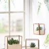 Copper And Glass Terrariums, Set Of 3 -Plant Supports Shop 8609212 2964 tif