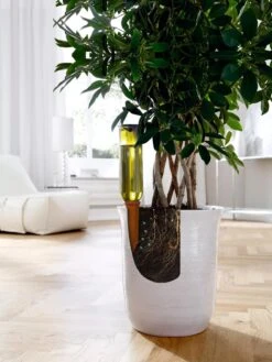 Hydro Wine Container Watering System, Set Of 4 13 Hydro Wine Container Watering System, Set Of 4 -Plant Supports Shop 8609224 04V tif