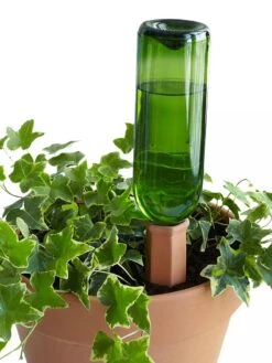Hydro Wine Container Watering System, Set Of 4 11 Hydro Wine Container Watering System, Set Of 4 -Plant Supports Shop 8609224 09V tif