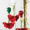 Waxed Amaryllis Brass Hangers, Set Of 3 -Plant Supports Shop 8609252 2020 6004