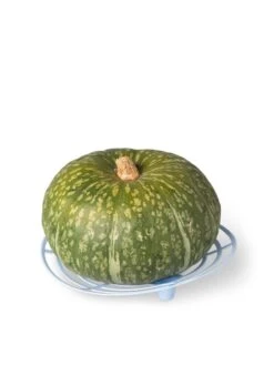 Melon And Squash Cradles, Set Of 6 -Plant Supports Shop 8609464 5204 tif