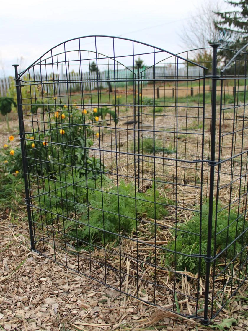 4 Panel Critter Fence 4 4 Panel Critter Fence - Image 2