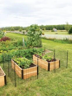 6 Panel Critter Fence With Gate 15 6 Panel Critter Fence With Gate -Plant Supports Shop 8609844 8457 tif