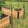 6 Panel Critter Fence With Gate 2 6 Panel Critter Fence With Gate -Plant Supports Shop 8609844 8458 6 panel critter fence with gate 3 4