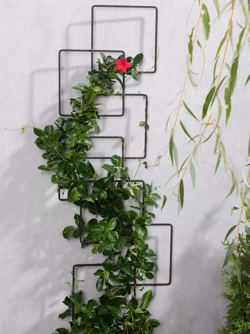 Building Blocks Wall Trellis, 45" 4 Building Blocks Wall Trellis, 45" - Image 2