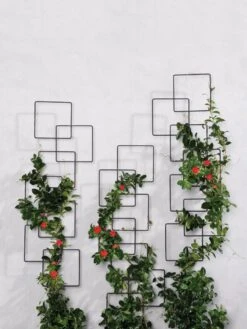 Building Blocks Wall Trellis, 45" 8 Building Blocks Wall Trellis, 45" -Plant Supports Shop 8610183 5811 tif