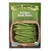 Antigua Bush Bean Organic Seeds 1 Antigua Bush Bean Organic Seeds -Plant Supports Shop 8610283 9987 antigua bush bean organic seeds