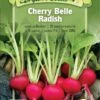 Cherry Belle Radish Organic Seeds 2 Cherry Belle Radish Organic Seeds -Plant Supports Shop 8610352 01v cherry belle radish organic seeds highmowing