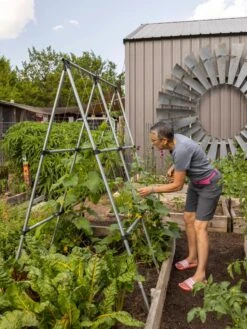 Connector Kit For DIY A Frame Plant Support -Plant Supports Shop 8610366 7584 tif