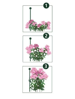 Peacock Mini Plant Support Rings 4", Set Of 2 11 Peacock Mini Plant Support Rings 4", Set Of 2 -Plant Supports Shop 8610383 07v