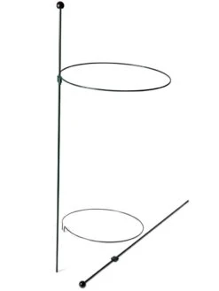Peacock Classic Plant Support Rings 15", Set Of 2 -Plant Supports Shop 8610384 9562 tif