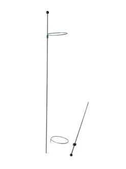 Peacock Mini Plant Support Rings 4", Set Of 2 14 Peacock Mini Plant Support Rings 4", Set Of 2 -Plant Supports Shop 8610386 9566