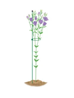 Peacock Mini Plant Support Rings 4", Set Of 2 12 Peacock Mini Plant Support Rings 4", Set Of 2 -Plant Supports Shop 8610386 peacock4x36