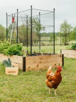 Tall Chicken Wire Critter Fence With Gate -Plant Supports Shop 8611020 316 tif