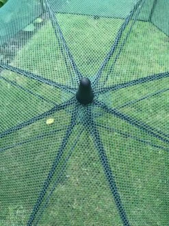 GardenSkill Pop N Crop Plant Umbrella -Plant Supports Shop 8611105 07V tif