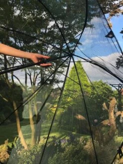 GardenSkill Pop N Crop Plant Umbrella -Plant Supports Shop 8611105 09V tif