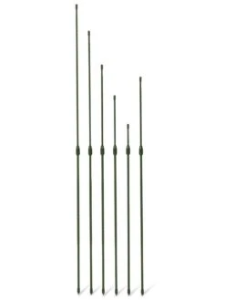 Titan Extendable Stakes, Set Of 6 -Plant Supports Shop 8611667 3070 tif