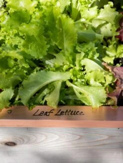 Re-Markable Raised Bed Trim -Plant Supports Shop 8611757 326 tif