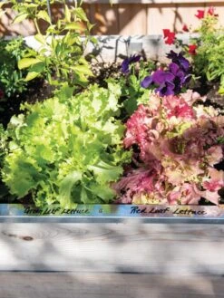 Re-Markable Raised Bed Trim -Plant Supports Shop 8611758 306 tif